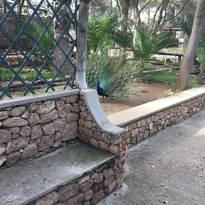 Séjour chez l'habitant 16, Porto Santo
